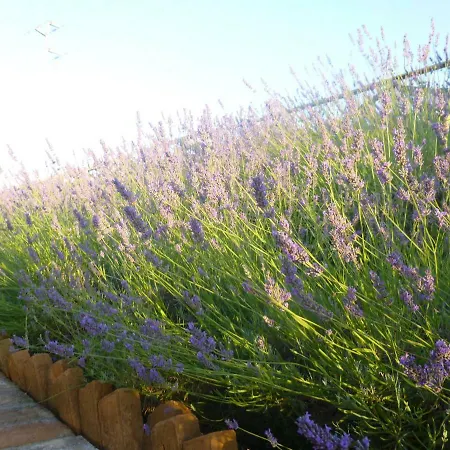 La Corte フェルモ