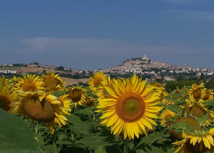 La Corte Gospodarstwo agroturystyczne *